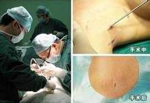 ����ʩ�� �侯�����������ζ��