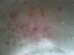 ë���׻�����Ҫ����Щ����